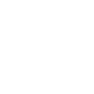 IT DUE DILIGENCE