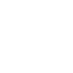 SOFTWARE DUE DILIGENCE