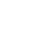 OPERATIONS AND SUPPLY CHAIN DUE DILIGENCE